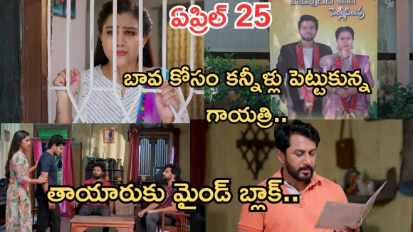 Podarillu Today Episode : మహా, చక్రీ ప్రేమలో పడతారా..? కన్నీళ్లు పెట్టుకున్న మాధవ్.. గాయత్రి, మాధవ్ ఒక్కటవుతారా..?