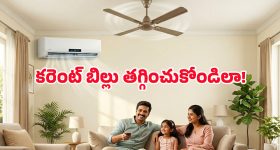 సలాడ్ తినడానికి బెస్ట్ టైం ఏది ?