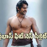 Prabhas Fitness: ప్రభాస్ ఫిట్ నెస్ సీక్రెట్ ఎంటో చెప్పిన జిమ్ ట్రైనర్.. అందుకే నేమో..