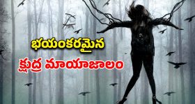 గుజ‌రాత్ పై విజ‌యం..హార్దిక్ పాండ్యా కుప్పిగంతులు..2 మీట‌ర్లు పైకి ఎగిరి మ‌రీ