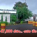 డిప్లొమా, డిగ్రీ అర్హతలతో ఉద్యోగాలు.. మంచి వేతనం, పూర్తి వివరాలివే