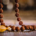 రుద్రాక్షను ఎందుకు ధరించాలి? సైన్స్, పురాణాలు ఏం చెబుతున్నాయి?
