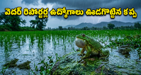 క‌శ్మీరీ ముస్లిం అమ్మాయితో దొరికిపోయిన అభిషేక్ శ‌ర్మ‌..ఇంత‌కు ఎవ‌రీ లైలా ఫైసల్ ?