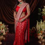 Rashi Singh : రెడ్ శారీలో మెరిసిపోతున్న రాశి.. కుర్రాళ్ళు మెంటలెక్కిపోవాల్సిందే..!