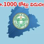 రిటైర్డ్ ఉద్యోగులకు భారీ గుడ్ న్యూస్.. రూ.వెయ్యి కోట్ల బకాయిలు విడుదల
