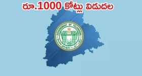 రెండో పెళ్లి తర్వాత సమంత ఫస్ట్ బర్త్ డే..బెస్ట్ బర్త్ డే అంటూ సామ్ పోస్ట్!
