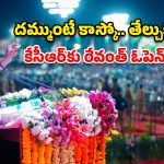 2029లో కేసీఆర్‌కు ప్రతిపక్ష హోదా కూడా దక్కనివ్వను..  సీఎం రేవంత్ రెడ్డి సంచలన శపథం
