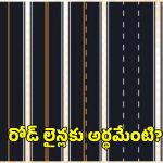 రోడ్లపై లైన్లకు అర్థం ఏంటి?.. తెలుపు గీతలను ఎందుకు గీస్తారు?