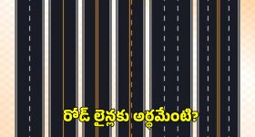 రోడ్లపై లైన్లకు అర్థం ఏంటి?.. తెలుపు గీతలను ఎందుకు గీస్తారు?
