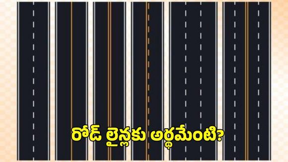 రోడ్లపై లైన్లకు అర్థం ఏంటి?.. తెలుపు గీతలను ఎందుకు గీస్తారు?