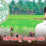 రైతులకు రేవంత్ సర్కార్ భరోసా.. రూ. 5,563 కోట్లు రైతు భరోసా విడుదల