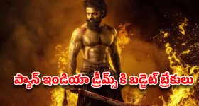 విపక్షాలకు 2029లో బుద్ధి చెబుతారు.. మ‌హిళ‌ బిల్లు వీగిపోవడంపై అమిత్ షా కీల‌క‌ వ్యాఖ్యలు