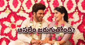 విడాకులు నిజమేనా శర్వా...? ఇన్‌స్టా నుంచి ఫ్యామిలీ ఫోటోలు అవుట్..!
