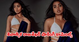డ్రైవర్ సూసైడ్ అటెంప్ట్.. ఆరు రోజులపాటు కార్యాచరణ ప్రకటించిన జేఏసీ