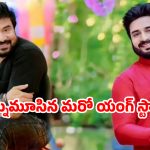 బుల్లితెరపై తీరని విషాదం.. క్యాన్సర్‌తో పోరాడి కన్నుమూసిన మరో యంగ్ స్టార్.. !