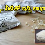 అమ్మో, ఇన్ని రోజులు తెలియక పారేశామే.. సిలికా జెల్ ప్యాకెట్స్‌తో ఇన్ని బెనిఫిట్సా!