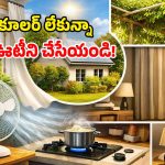 ఏసీ లేదని టెన్షనా? ఈ తేలికైన 7 టిప్స్‌తో.. ఇంటిని కాశ్మీర్‌లా మార్చేయచ్చు!