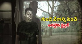 గుండెల్లో వణుకు పుట్టించే సముద్రపు దొంగలు... వన్ పీస్ ను మించిన అడ్వెంచర్
