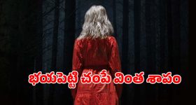 వణికిస్తున్న వింత రూపం... ప్రాణాలు అరచేతిలో పెట్టుకుని బతికే ఫ్యామిలీ... భయం ఉన్నోళ్లు చూడకూడని సినిమా