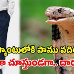 Snake Incident: పర్యాటకుడి ప్యాంటులోకి.. కింగ్ కోబ్రాను వదిలిన హోస్ట్.. తర్వాత ఏమైందంటే?
