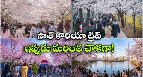 Viral News: సినిమా లెవల్ క్లైమాక్స్ సీన్.. తాళికట్టే టైంకి పెళ్లి కూతురు అలా చేసిందేంటి?
