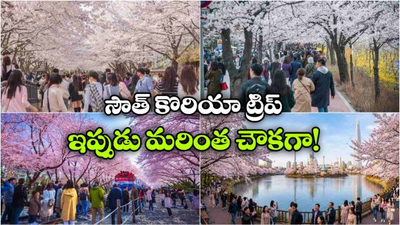 సౌత్ కొరియా స్ప్రింగ్ ట్రావెల్ స్పెషల్..  ఫ్లైట్స్, హోటల్స్ పై ఆఫర్లే ఆఫర్లు!