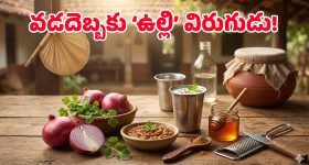 వడదెబ్బ నుంచి రక్షణ కల్పించే ఉల్లిపాయ.. వేసవిలో దీనిని మించిన మెడిసిన్ మరొకటి లేదు!