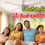 Summer Tips: మీ ఇంట్లో ఫ్యాన్లు ఉన్నాయా? ఈ తేలికైన టిప్స్ పాటిస్తే.. వేసవిలోనూ కూల్‌గా ఉండొచ్చు!