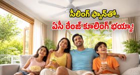 Summer Tips: మీ ఇంట్లో ఫ్యాన్లు ఉన్నాయా? ఈ తేలికైన టిప్స్ పాటిస్తే.. వేసవిలోనూ కూల్‌గా ఉండొచ్చు!