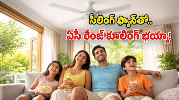 Summer Tips: మీ ఇంట్లో ఫ్యాన్లు ఉన్నాయా? ఈ తేలికైన టిప్స్ పాటిస్తే.. వేసవిలోనూ కూల్‌గా ఉండొచ్చు!