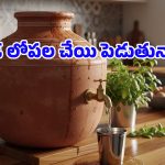 కొత్త మట్టి కుండ కొన్నారా? అయితే కడిగేటప్పుడు ఈ తప్పులు అస్సలు చేయకండి!