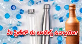 ఫ్రిజ్‌లో ఈ బాటిల్స్ వాడుతున్నారా? అయితే మీరు డేంజర్‌లో ఉన్నట్లే!
