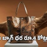 డైనోసార్ తోలుతో హ్యాండ్ బ్యాగ్.. రూ.4 కోట్లు ఉంటే మీ సొంతం!