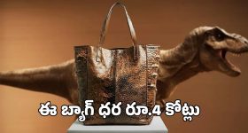 డైనోసార్ తోలుతో హ్యాండ్ బ్యాగ్.. రూ.4 కోట్లు ఉంటే మీ సొంతం!