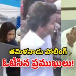 Tamil Nadu Elections 2026: తమిళనాడు ఎన్నికలు.. పోలింగ్ కేంద్రాలకు సెలబ్రిటీలు క్యూ.. ఓటు హక్కు వినియోగం