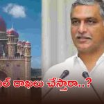 రైతు రుణమాఫీపై హైకోర్టుకు హరీశ్ రావు.. ధర్మాసనం సంచలన ఆదేశాలు