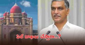 రైతు రుణమాఫీపై హైకోర్టుకు హరీశ్ రావు.. ధర్మాసనం సంచలన ఆదేశాలు