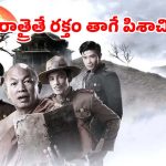 పగలు ప్రశాంతం రాత్రి అయితే నరకం… నవ్వులు పూయిస్తూనే వెన్నులో వణుకు పుట్టించే వింత పిశాచి
