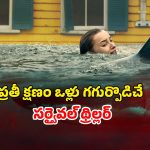 వరద నీటిలో వణికించే వాన.. వెంటాడి వేటాడే షార్క్ చేపలు