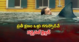 Shahid Afridi: SRH గెలిస్తే పాకిస్తాన్ గెలిచిన‌ట్లే...ప్ర‌తీ మ‌సీదు ముందు సంబ‌రాలు చేసుకోండి !