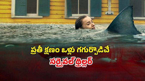 వరద నీటిలో వణికించే వాన.. వెంటాడి వేటాడే షార్క్ చేపలు