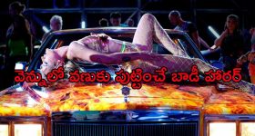 అల్లు అర్జున్ తో బాసిల్ జోసెఫ్ సినిమా..డైరెక్టర్ రియాక్షన్ ఇదే..సినిమా ఉన్నట్టా? లేనట్టా?