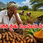 పసుపు మంగళకరమే.. కానీ ఆ రైతులకు మాత్రం కన్నీటి శాపం.. ఎందుకో తెలుసా?