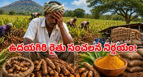 30 ఏళ్ల స్థిరత్వం ఒక్క యుద్ధంతో.. గల్ఫ్ దేశాల కళ్లముందే కరుగుతున్న కల!