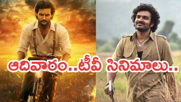 Today Movies in TV : ఆదివారం టీవీ సినిమాలు.. వీకెండ్ సందడే సందడి..
