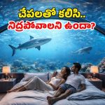 పొరపాటున ఆ గ్లాస్ పగిలితే అంతే.. సముద్ర గర్భంలో అత్యంత ప్రమాదకరమైన హోటల్స్!