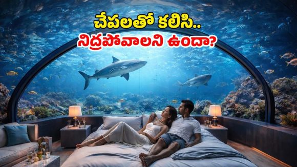 పొరపాటున ఆ గ్లాస్ పగిలితే అంతే.. సముద్ర గర్భంలో అత్యంత ప్రమాదకరమైన హోటల్స్!