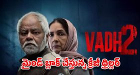 భక్తి ముసుగులో భయంకరమైన మోసాలు... దొంగ బాబాల దుమ్ము లేపే లేడీ పోలీస్