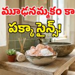 బాత్‌రూమ్ మూలలో ఉప్పు గిన్నె ఎందుకు పెడతారో తెలుసా? దీని వెనుకున్న రహస్యం తెలిస్తే ఆశ్చర్యపోతారు!