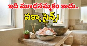 జమ్మి మొక్కను ఏ దిశలో నాటితే అదృష్టం వరిస్తుంది? పూర్తి వివరాలు మీ కోసం..